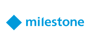 logo 31